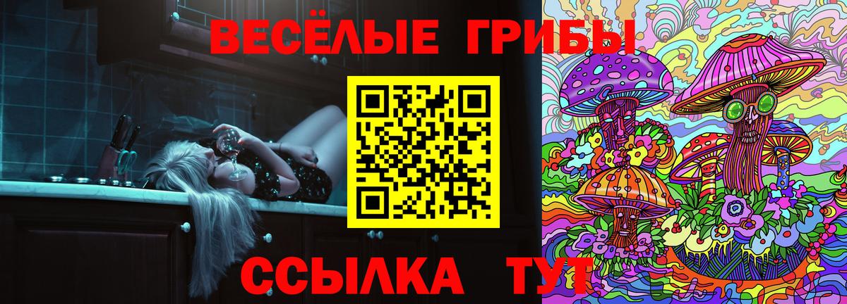 Псилоцибиновые грибы прущие грибы  наркота  Псилоцибиновые грибы Magic Shrooms  Чехов  Вход с VPN 